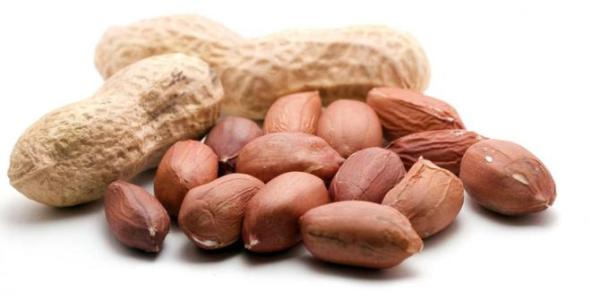makan-kacang-tanah-turunkan-risiko-kanker