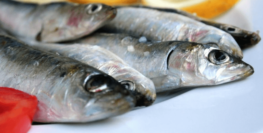 Ikan sarden - 8 Makanan yang Minimalkan Risiko Penyakit Jantung