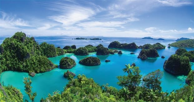 8 Alasan Wisata Raja Ampat Papua Wajib Jadi Tujuan Liburan