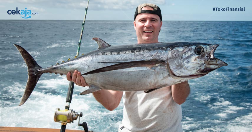 Fakta-fakta Soal Ikan Tuna Rp44 Miliar yang Perlu Anda Tahu