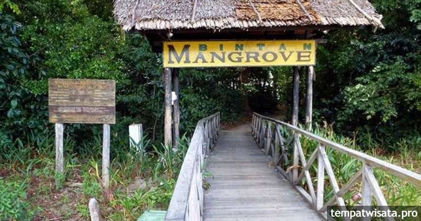 Hutan Mangrove - wisata alam di Bintan