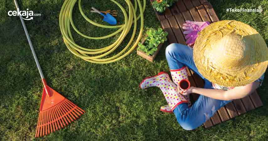 Biar Rumah Seger, Simak Tips Membuat Taman yang Menyenangkan!
