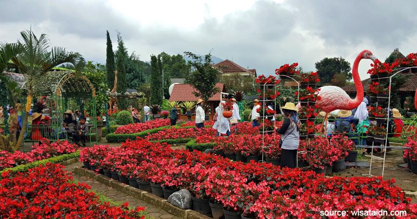 Taman Begonia - Tempat Wisata Paling Banyak Dikunjungi di Bandung dan Sekitarnya