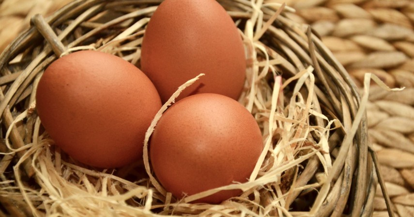 Telur - Makanan Protein Tinggi yang Baik untuk Tubuh