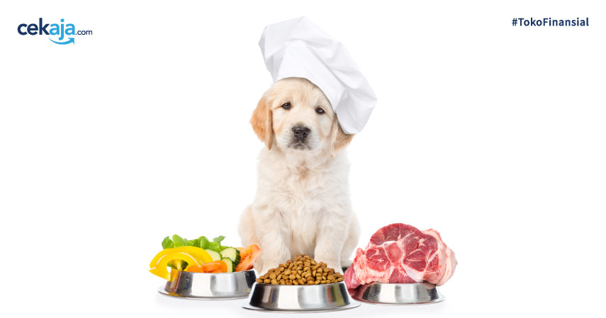 Rekomendasi Makanan Anjing Terbaik, Harga, dan Cara Memilihnya