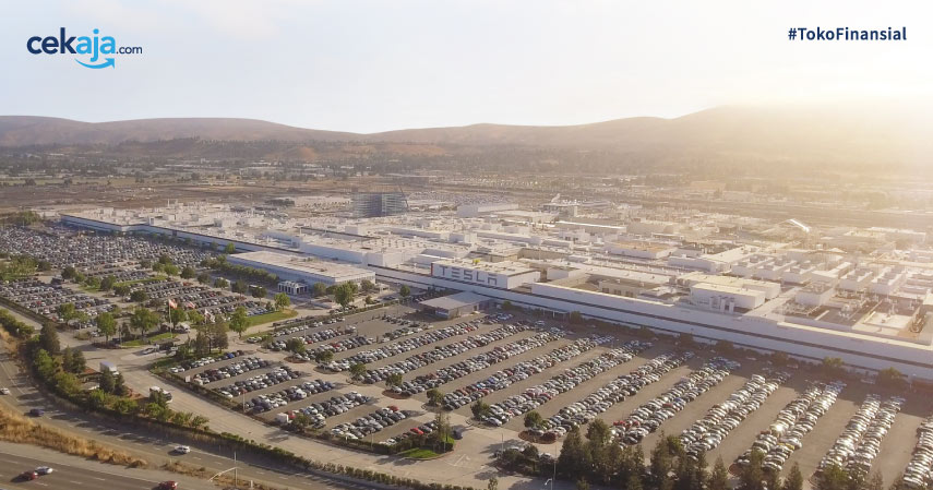 Tesla Tebus Lahan Rp618,95 miliar untuk Pabrik Baru di Jerman