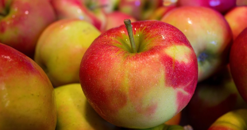 Apel - 7 Makanan Penguat Sistem Imun Tubuh