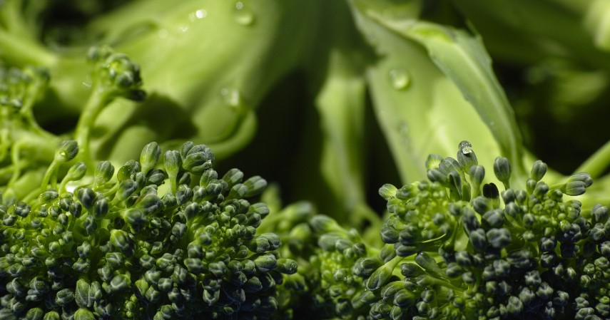 Brokoli - Tangkis Virus Ini 6 Jenis Makanan Penggenjot Imun Tubuh