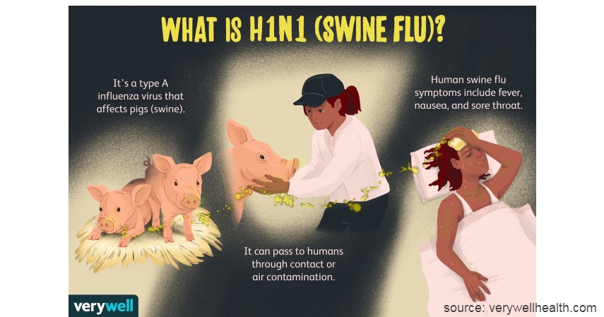H1N1 - Virus Berbahaya dari Hewan Selain Corona Wajib Tahu