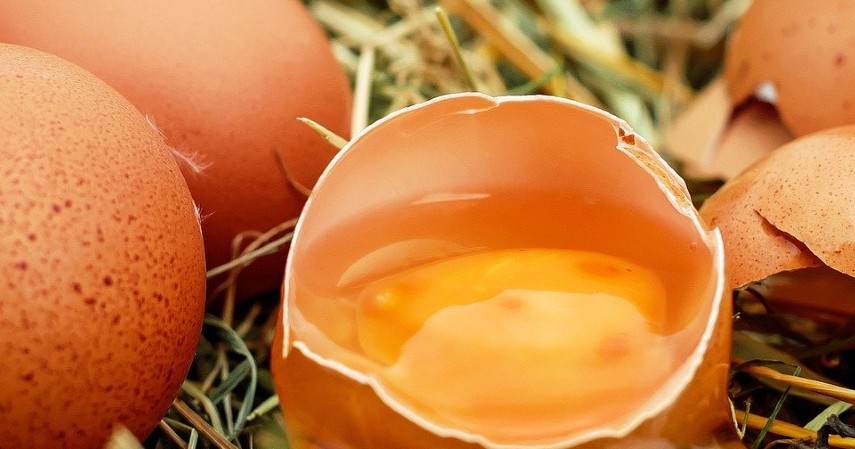Putih Telur - 11 Cara Memutihkan Wajah Secara Alami Aman dan Murah