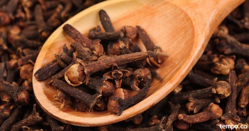 Obat Rematik Alami Tradisional dari Bumbu Dapur