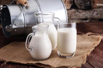 12 Manfaat Minum Susu Sapi Murni Bagi Kesehatan dan Efek Sampingnya