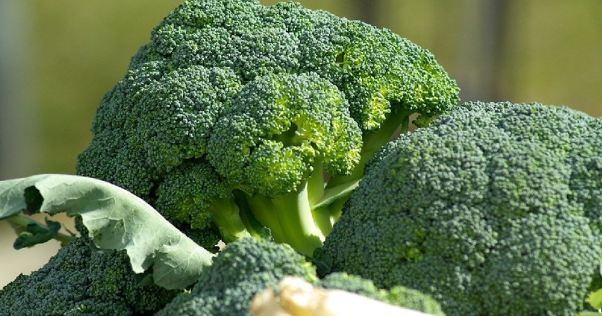 Brokoli dan kol - 10 Makanan yang Membuat Bau Badan beserta Cara Menghilangkannya