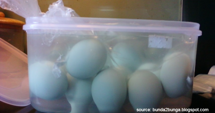 Buat pemberat - Cara Membuat Telur Asin dan Peluang Usahanya