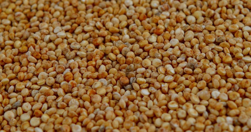 Quinoa - 10 Sumber Karbohidrat Selain Nasi Putih yang Pas untuk Diet
