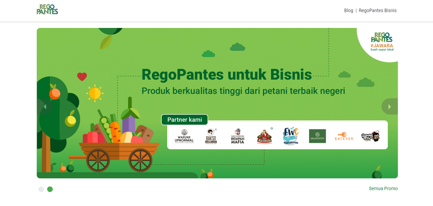 Rego Pantes - 15 Daftar Penjual Sayur dan Buah Online Terlengkap