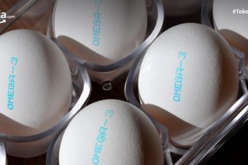 Perbedaan Telur Biasa dan Telur Omega 3, dari Warna, Khasiat, hingga Harga!