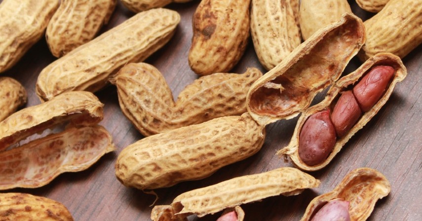 Kacang-kacangan dan Buah Kering - 10 Cemilan Sehat untuk Ibu Hamil