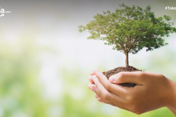 5 Manfaat Pohon bagi Kehidupan dan Cara Melestarikannya