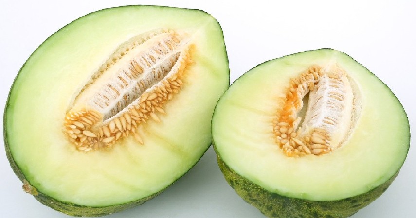 Melon - 8 Buah yang Membantu Melawan Selulit, Kembali Pede dengan Penampilan!.jpg