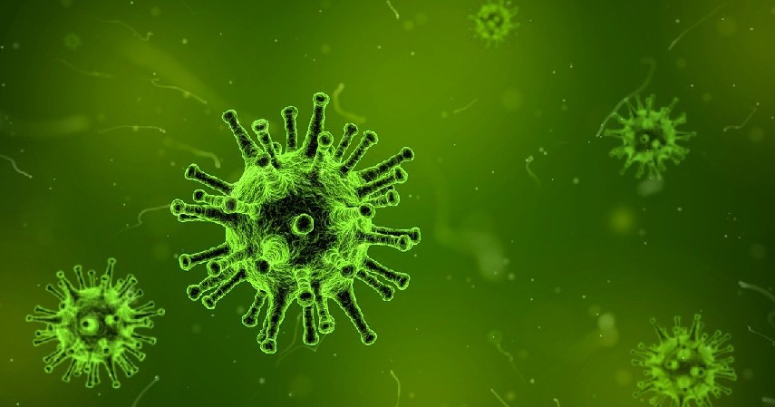 Infeksi Virus - Gejala, Ciri, dan Penyebab Usus Buntu.jpg