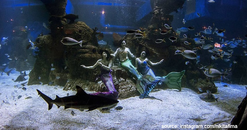 Jakarta Aquarium - 13 Tempat Wisata Anak di Jabodetabek