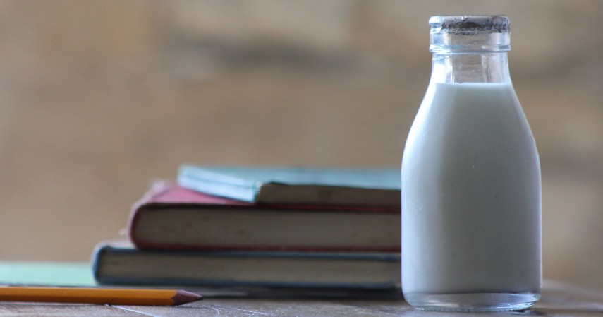 Sumber Bahan yang Digunakan - Perbedaan Dairy Milk dan Non-Dairy Milk Beserta Manfaatnya