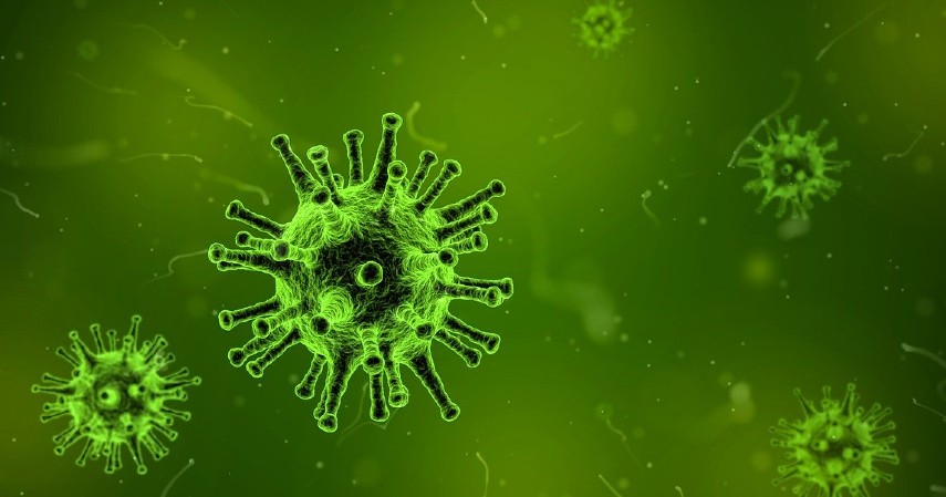 melawan infeksi bakteri - 11 Manfaat Kayu Manis