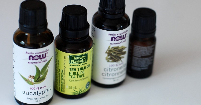 minyak daun teh - Cara Menghilangkan Tahi Lalat secara Alami