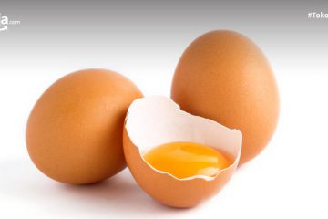 10 Manfaat Cangkang Telur yang Wajib Diketahui, Salah Satunya Membasmi Hama