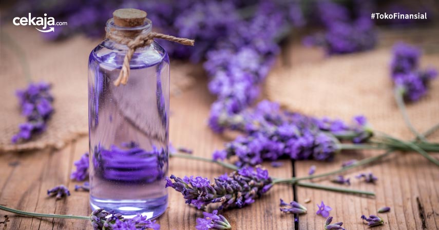 12 Jenis Tanaman Aromaterapi yang Membawa Segudang Manfaat