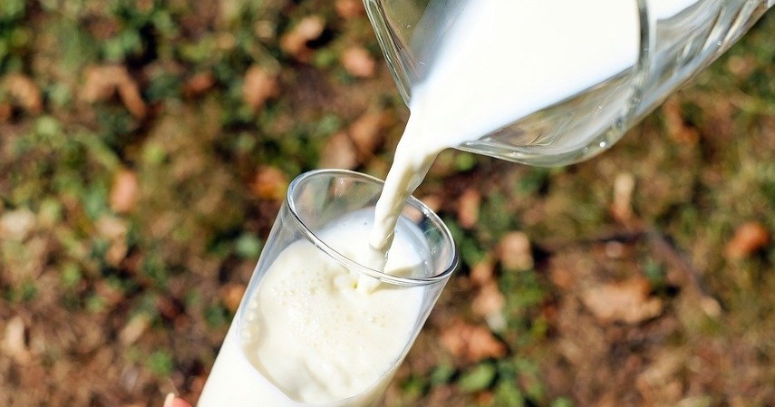 Susu Full Cream atau Susu Low Fat - Jumlah Asupan Susu yang Dibutuhkan Tubuh