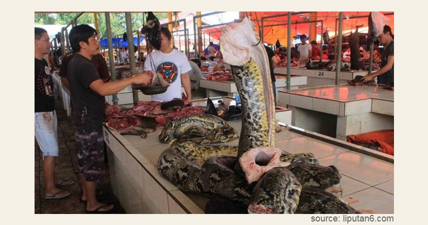 Pasar Beriman Tomohon, Manado - 9 Pasar Teraneh di Dunia.jpg