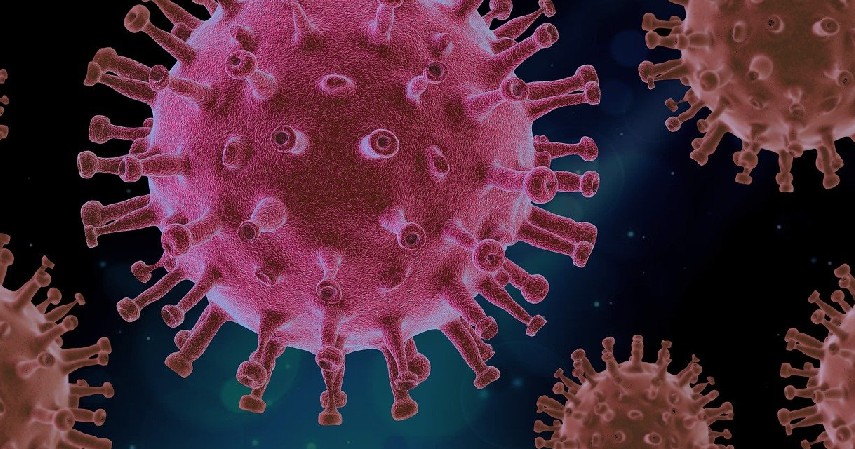 Belasan Mutasi Baru - 5 Fakta Mutasi Virus Corona Terbaru dari Inggris dan Afsel