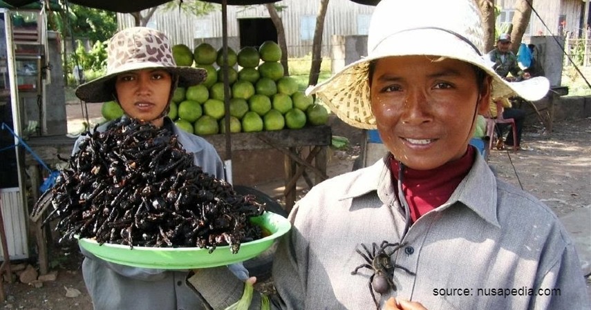 Pasar Laba-laba – Kamboja - 9 Pasar Teraneh di Dunia