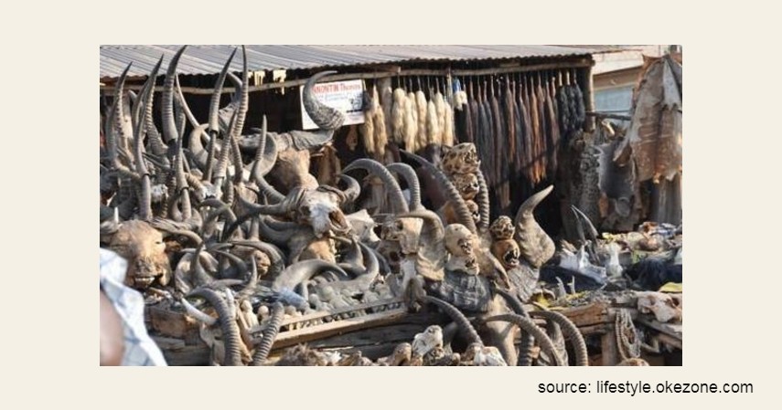 Pasar Voodoo Lome – Togo - 9 Pasar Teraneh di Dunia