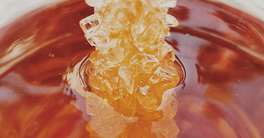 Perbedaan Clover Honey dengan Madu Biasa Beserta Manfaatnya - Warna Madu