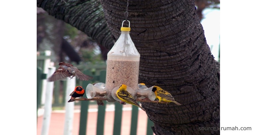 Tempat pakan burung - Kerajinan dari Botol Bekas