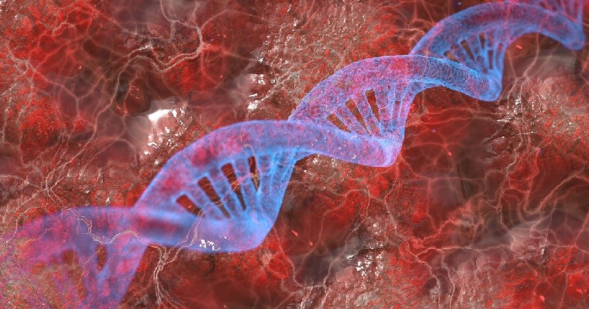 Tingkat Kerusakan - Perbedaan DNA dan RNA