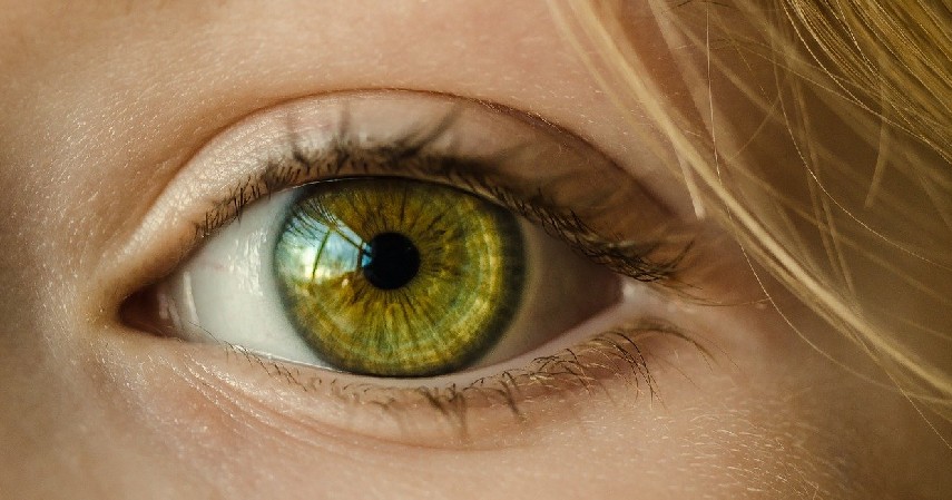 fungsi penglihatan - Manfaat Kembang Kol untuk Kesehatan