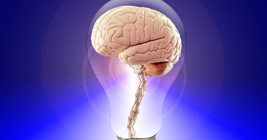 Daya Ingat - Manfaat Bermain Catur Untuk Otak
