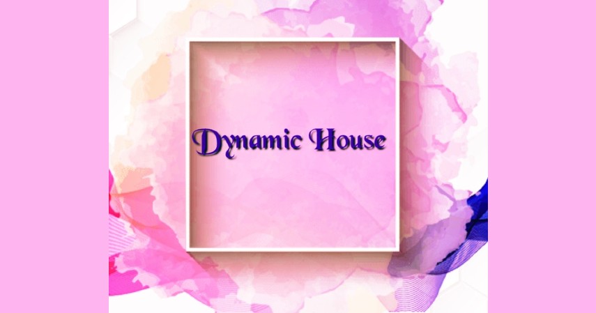 Dynamic House - Rekomendasi Online Shop untuk Barang Aesthetic