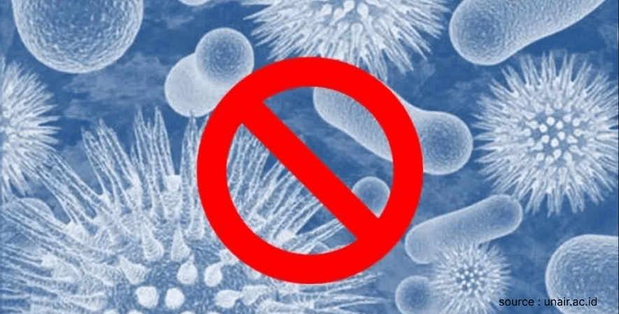 Antibakteri - Manfaat Bawang Putih Tunggal bagi Kesehatan