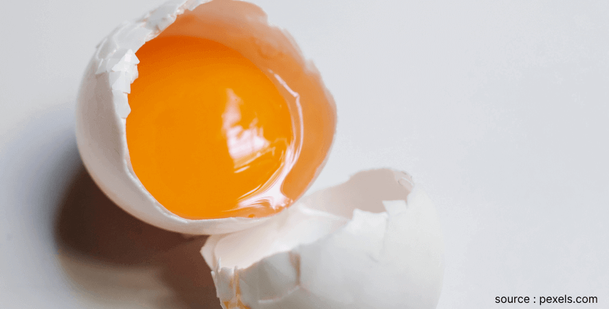 Putih Telur - Peluang Bisnis Hair Mask Menggunakan Bahan Alami