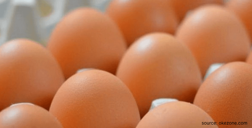 Fisik Telur - Perbedaan Telur Biasa dan Telur Omega 3