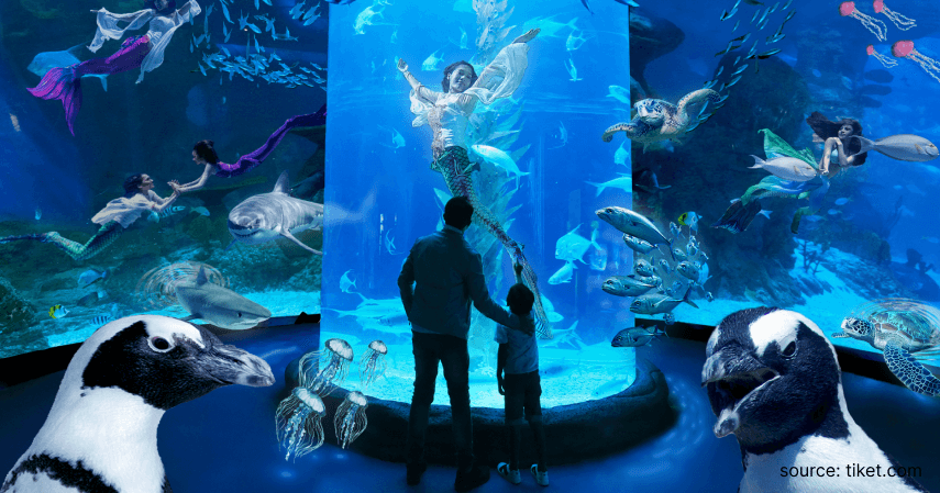 1. Jakarta Aquarium - 6 Rekomendasi Wisata Aquarium