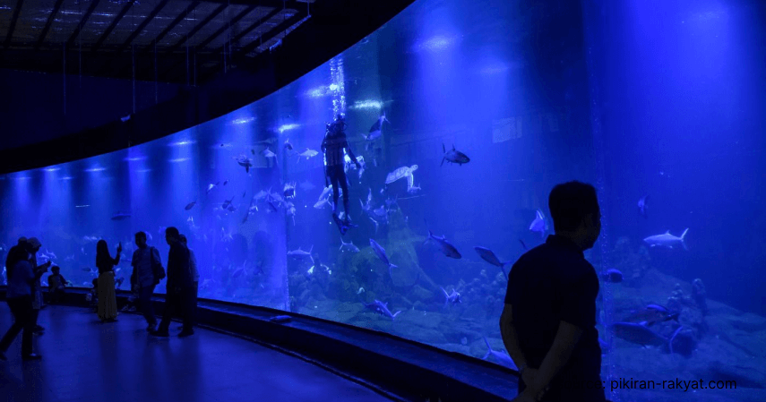 2. Aquarium Indonesia Pangandaran - 6 Rekomendasi Wisata Aquarium