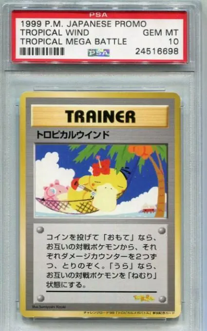 Tropical Wind Trainer